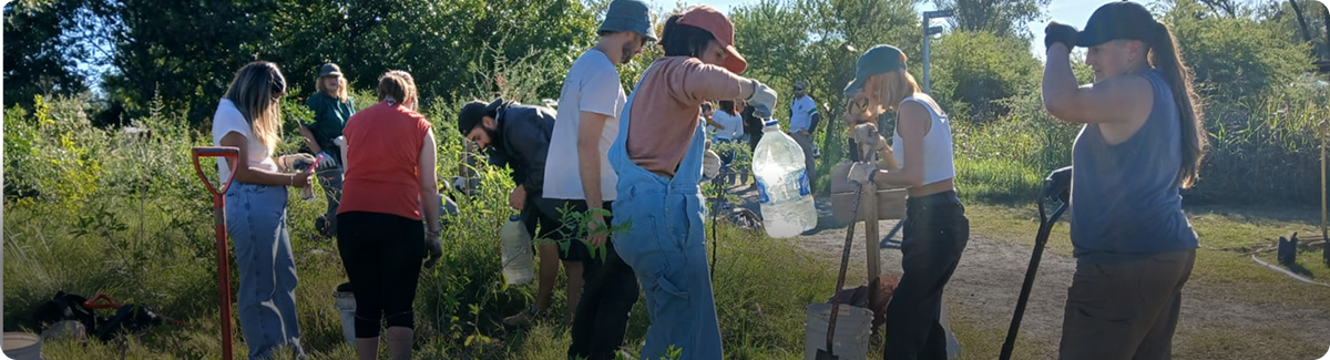Voluntarios trabajando en el campo